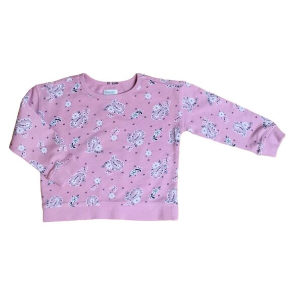Gymboree  Girls   Sweatshirt - Pink - Paisley Pattern - 0-3 Months - Picture 1 of 2